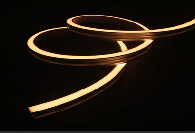 Neon Flex Có Viền