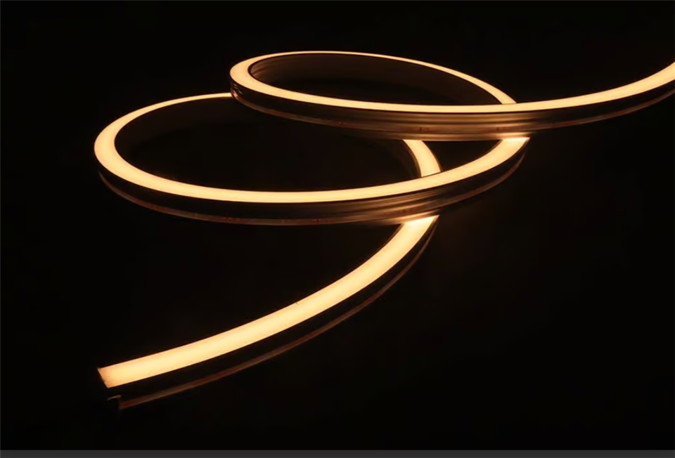 Neon Flex Có Viền